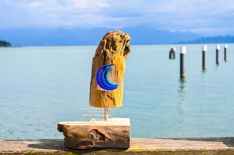 Rund um den Weltwassertag - Undine Award 2025